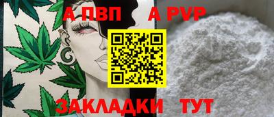 твердый Гатчина