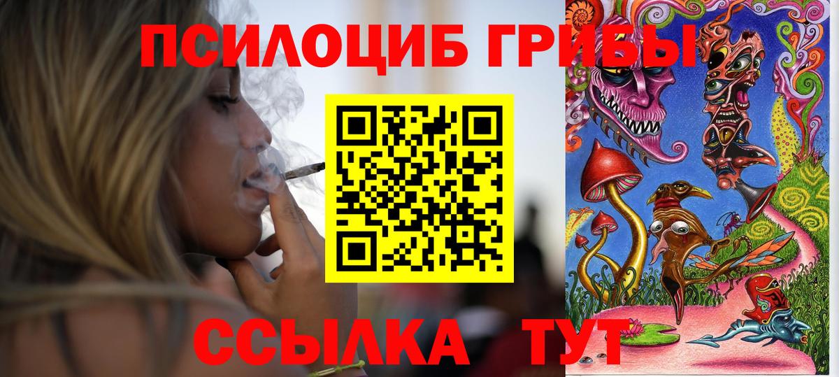 Псилоцибиновые грибы Cubensis Рассказово